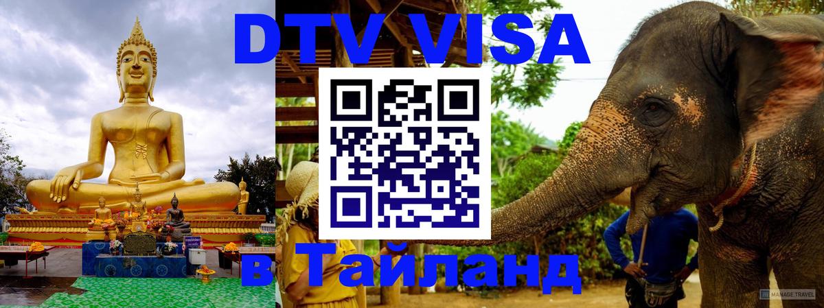 Сколько стоит DTV виза — актуальные цены, оформление даже без документов - 20.11.2025 